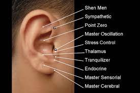 St George Acupuncture - Auricular Acupuncture - Master Points